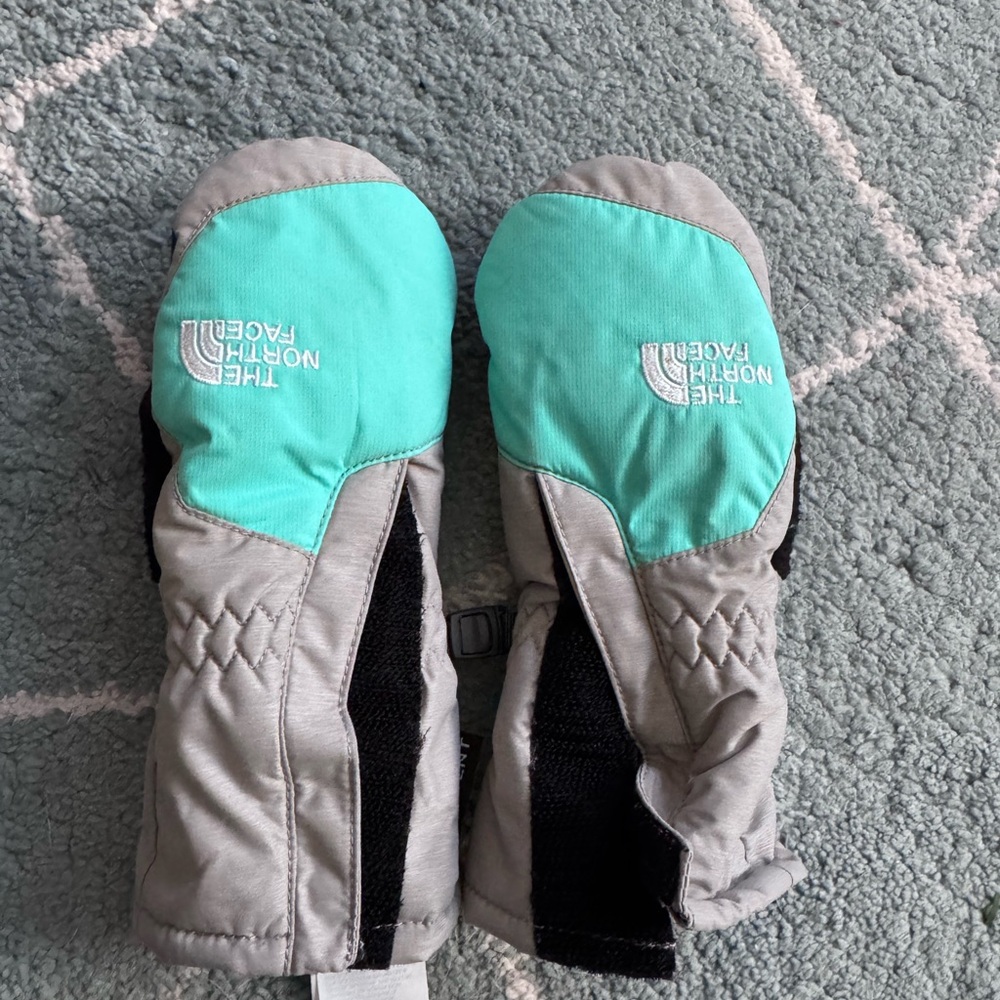 The North Face Black and Aqua Mittens